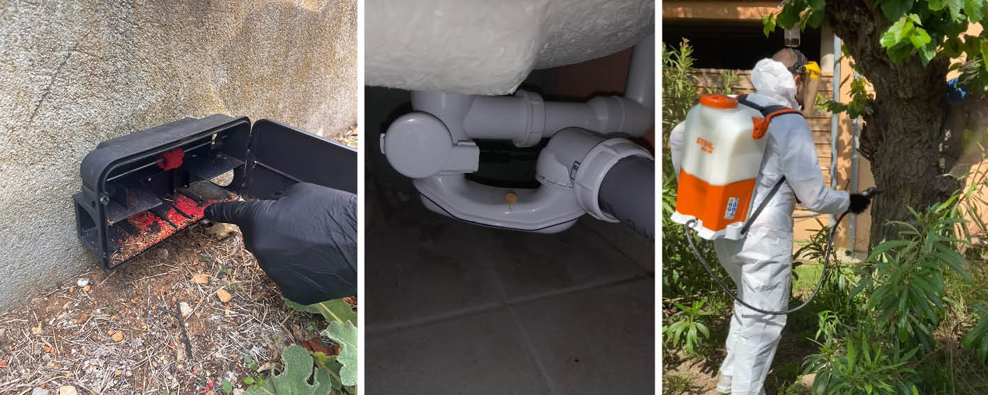 désinsectisation immeuble obligatoire, poste sécurisé contre les rongeurs en extérieur, goutte de gel contre les blattes au niveau du siphon sous évier et démoustication en extérieur
