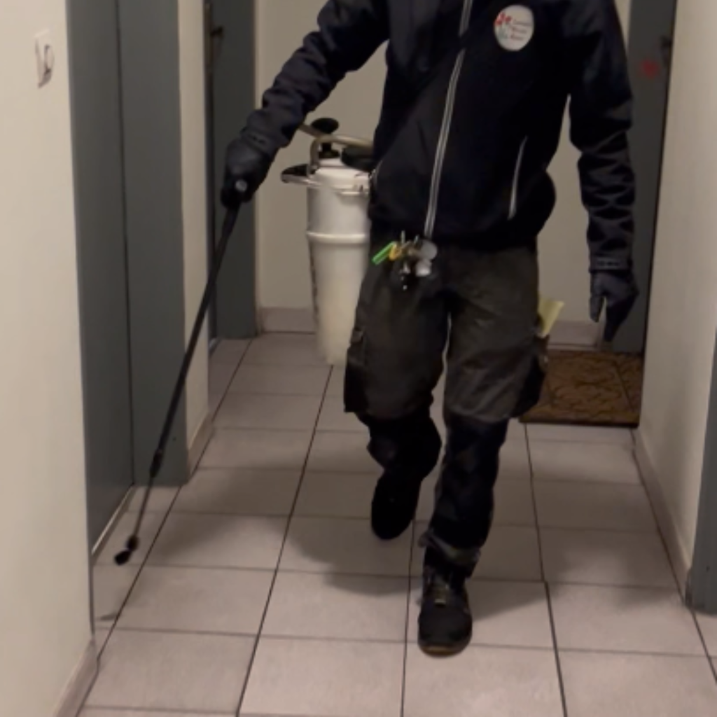 Désinsectisation par pulvérisation