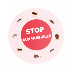 désinsectisation professionnelle
